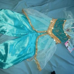 Disney princess jasmine costume